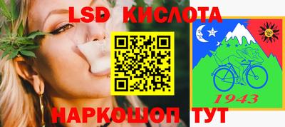 PSILOCYBIN Гатчина