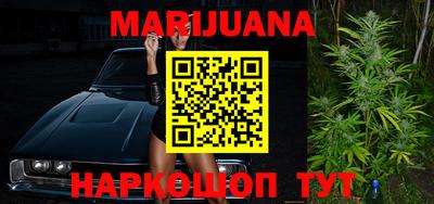 PSILOCYBIN Гатчина